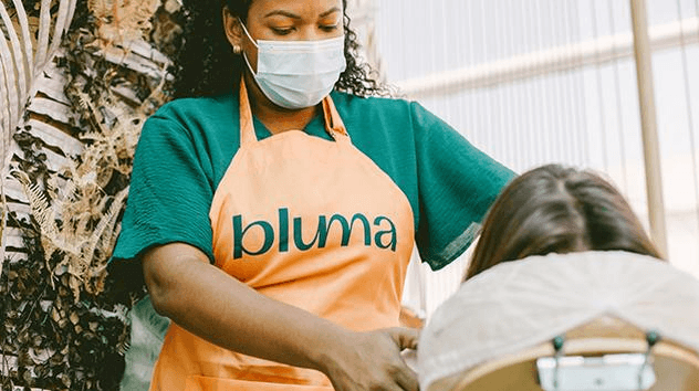 Bluma - Salvador