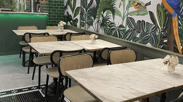 The Coral Forest Lounge