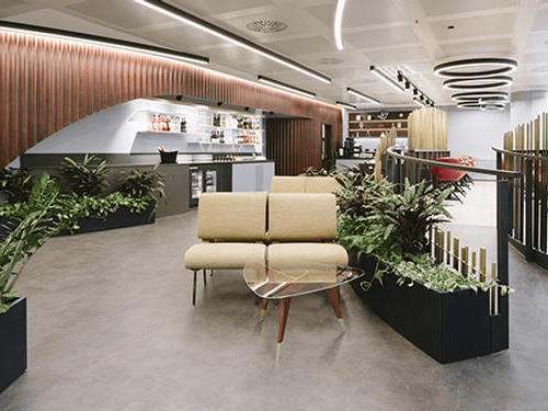 Main Image Main Image